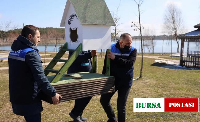 10 yaşındaki Enes duyarlılığıyla gönülleri mest etti
