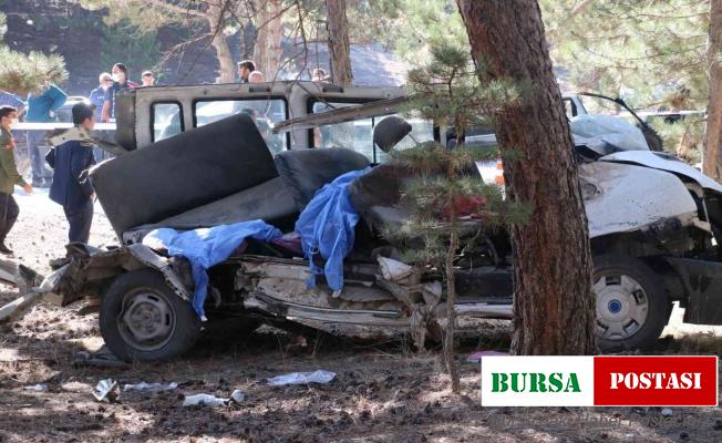 5 çocuğun öldüğü kazada sorumlu ‘çam ağacı’ oldu