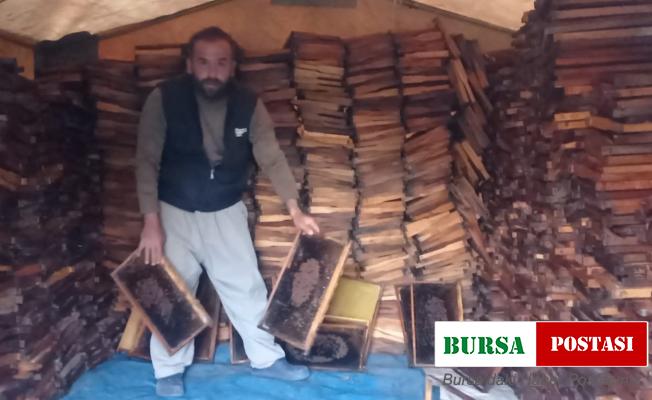Adana’da 500 kovandaki binlerce arı telef oldu