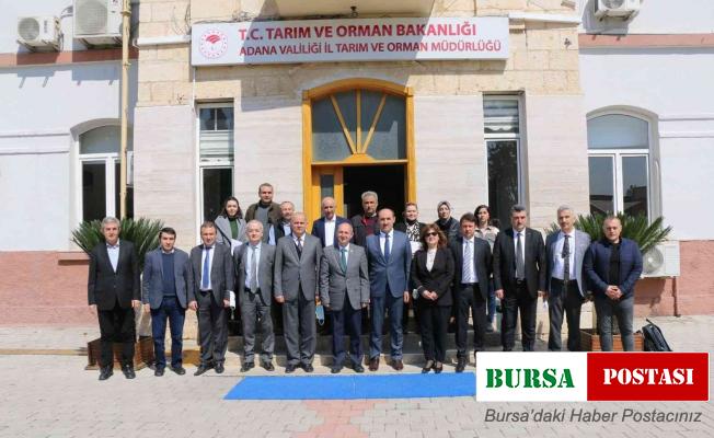 Adana’da ki zirai don olaylarının tarımsal üretime zararı değerlendirildi