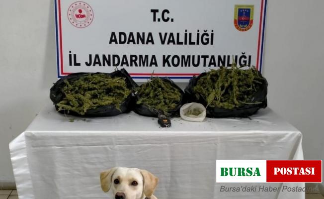 Adana’da uyuşturucu operasyonu: 1 gözaltı