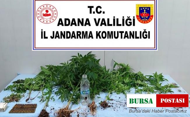 Adana’da uyuşturucu operasyonu