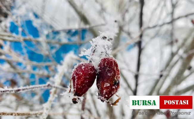 Ağrı’da kış manzarası göz kamaştırıyor
