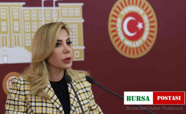 AK Parti Muğla Milletvekili Gökcan’ın 18 Mart Çanakkale Zaferi mesajı