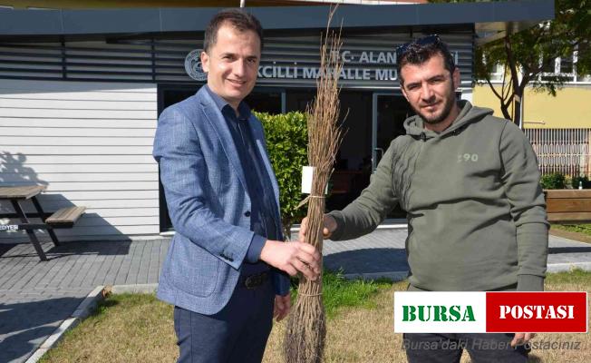 Alanya’da 140 bin meyve fidanı dağıtıldı
