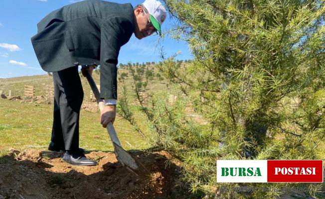 Alaşehir’de 500 adet fidan dikildi