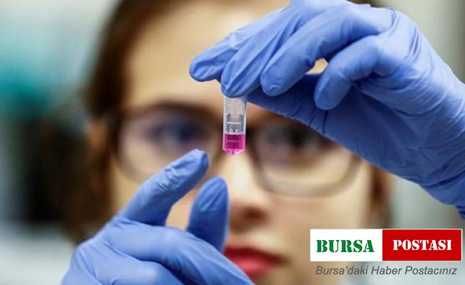 Almanya’nın sağlık çalışanı ihtiyacı artıyor