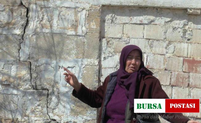 ’Altını’ Demir Export, ’tozunu’ köylü alıyor