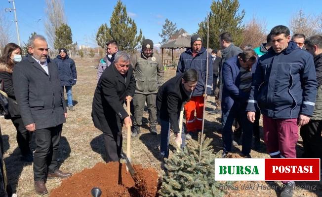 Altıntaş MYO’da ağaç dikim etkinliği