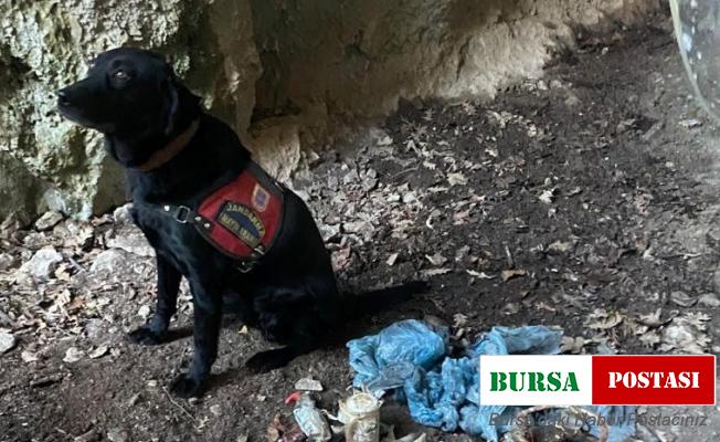 Amanoslar’da PKK’nın mühimmat depoları bulundu