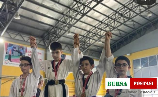 Analig Taekwondo İl Seçmeleri tamamlandı
