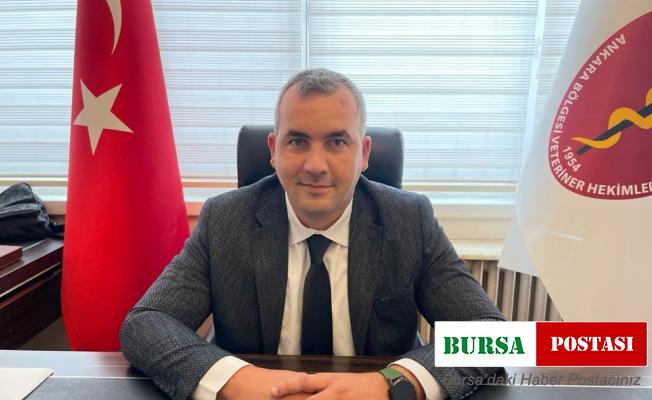 Ankara Bölgesi Veteriner Hekimler Odası’ndan dişi hayvanların kesiminin durdurulması talebi