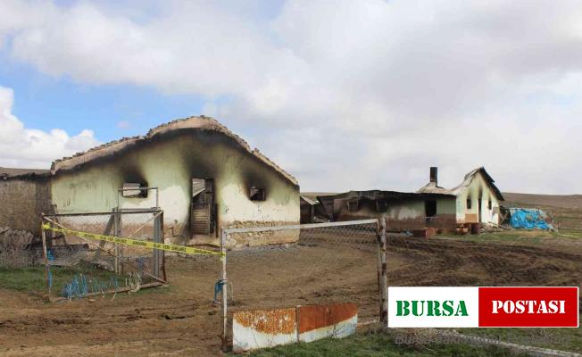 Ankara’da ağılda çıkan yangında 600 hayvan telef oldu