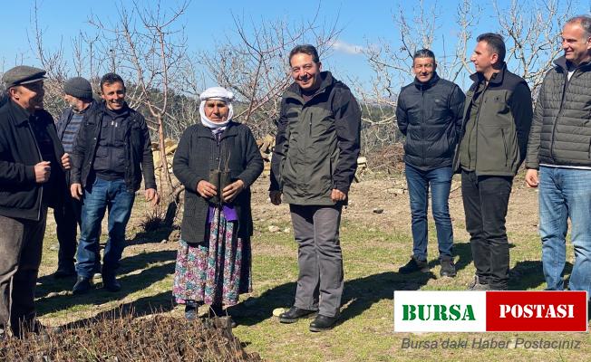 Antep fıstıkları ormanla buluştu
