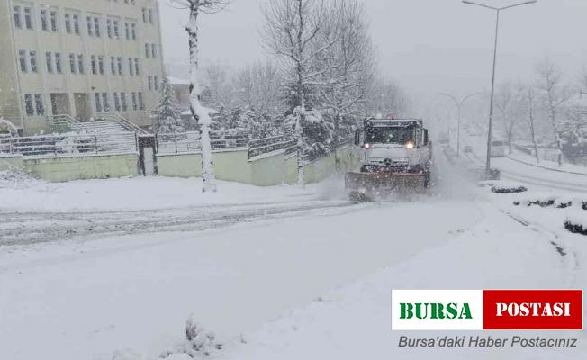 Araçlar yollarda kaydı, Düzce beyaz örtü ile kaplandı