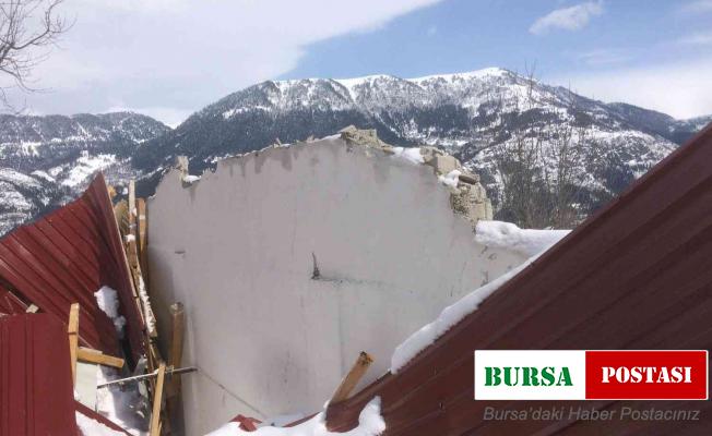 Artvin’de kar yağışı nedeniyle 5 besi ahırın çatısı çöktü