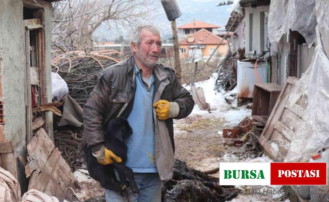 Aşı yapılan 150 keçilerinden 70’i telef olan çoban aile gözyaşlarına boğuldu