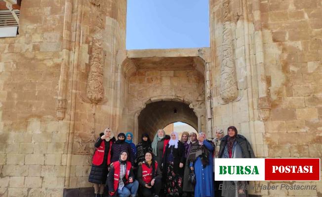 Asırlık çınarlar İshak Paşa Sarayı’nda