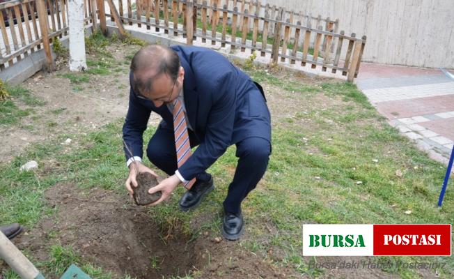 Asırlık İnkaya Çınarı fidan ve tohumları Emet’te toprakla buluştu