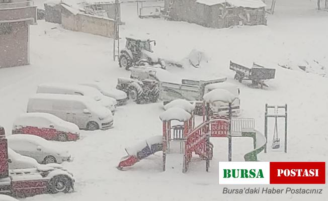 Aşkale’de yoğun kar yağışı