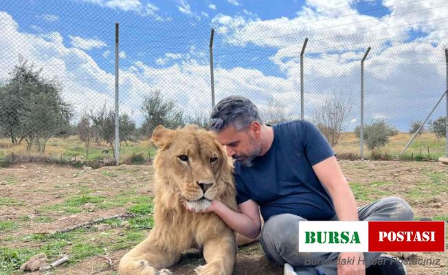 Aslan terbiyecisi Akbey, hayvanları anlamanın yollarını anlattı