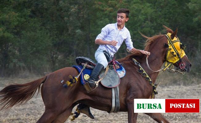 Atların çarpışması sonucu ağır yaralanan genç ciritçi yaşam mücadelesi veriyor