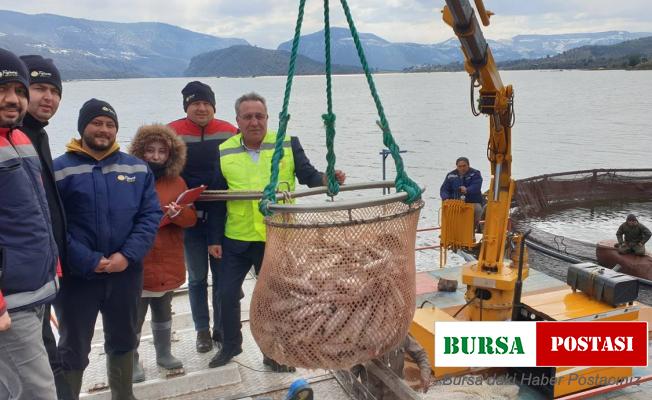 Avrupa’nın alabalığı bu barajdan gidiyor