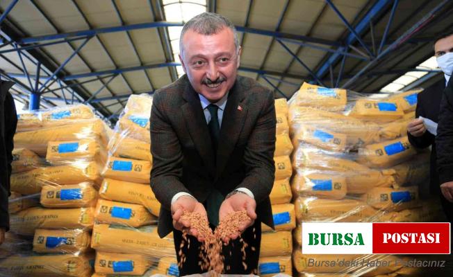 Ayçiçeği üreticilerine gübre desteği verilecek