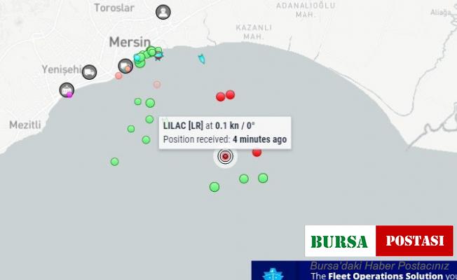 Ayçiçeği yüklü ilk gemi Mersin’e ulaştı
