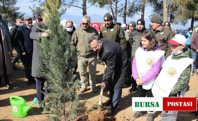 Aydın’da 10 bin adet fidan toprakla buluştu