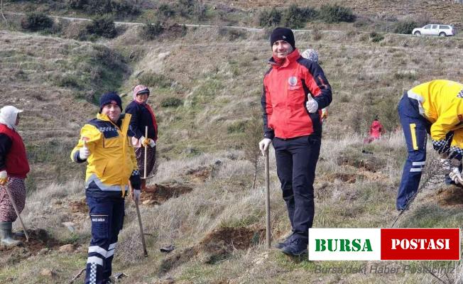 Aydın’da 112 fidan toprakla buluştu