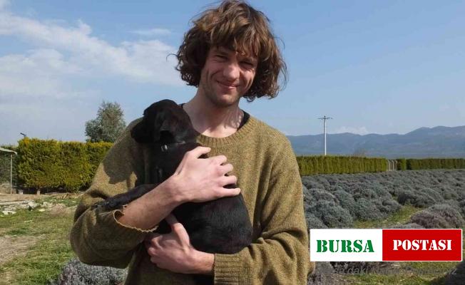 Ayvalıklı söz yazarı tıbbı ve aromatik bitki üretimine başlıyor