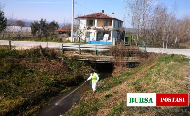 Bafra Belediyesi’nden sivrisineklere karşı larva mücadelesi