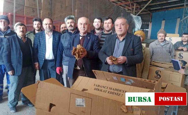 Bafra’da tütün alımları başladı