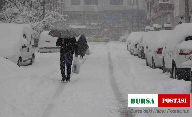 Baharı bekleyen Bingöl kara kışa teslim oldu
