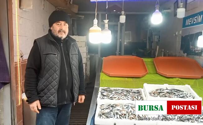 Balık hırsızı karga kamerada