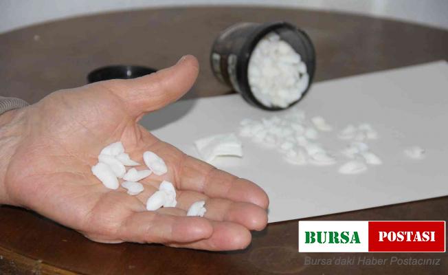 Balık taşı böbrek hastalarının ilgi odağı