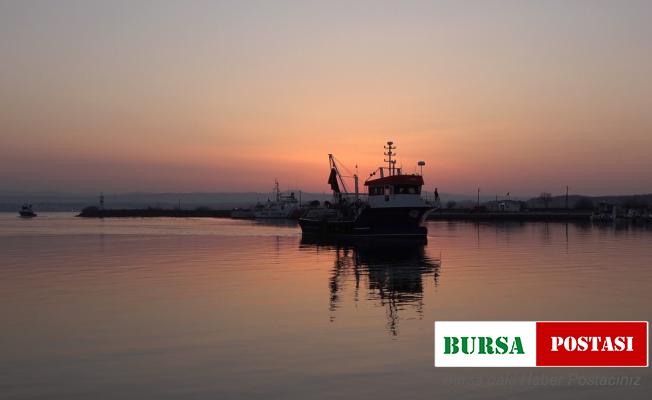 Balıkçılara mayın engeli: Karadeniz’deki balıkçılar limana döndü