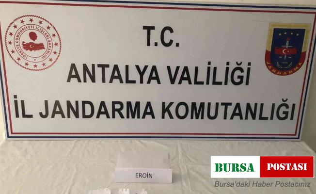 Barın deposundan sandalye çalarken suçüstü yakalandılar
