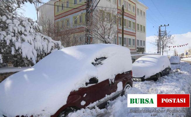 Başkale’de 94 yerleşim yerinin yolu kapandı, okullar tatil edildi