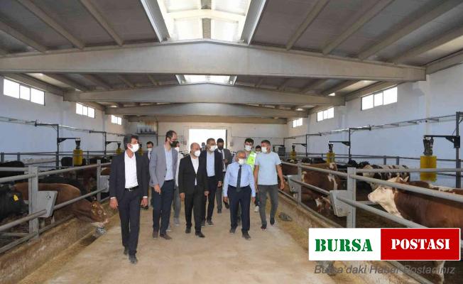 Başkan Büyükkılıç: “Beydeğirmeni’nde besicilere büyük fırsat”