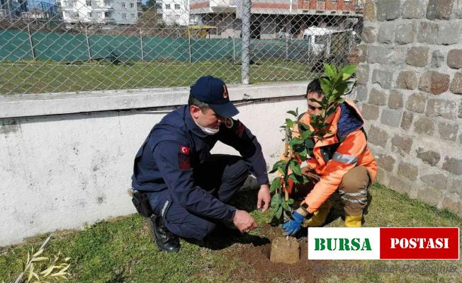 Başkan Tören: “Çalışmalarımızın merkezinde yeşil kalkınma var”