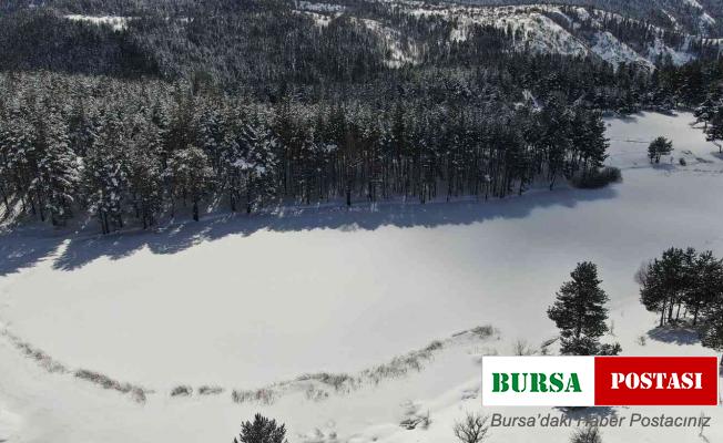 Başkent’te çiçek açan çiğdemlerle bahar yüzünü gösterdi