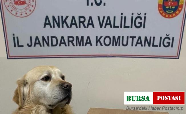 Başkent’teki uyuşturucu operasyonlarında 9 gözaltı