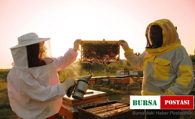 Başvuru için 15 Mart son gün