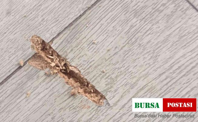 Belediye başkanına makam odasında silahlı saldırı