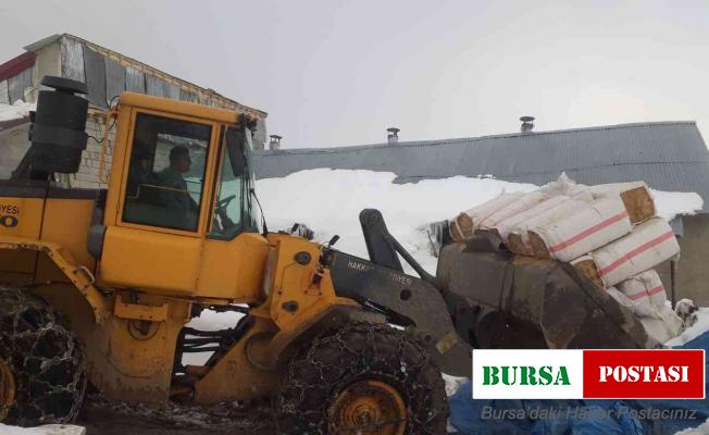Belediye ekipleri aç kalan hayvanlar için seferber oldu