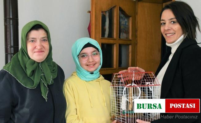 Belediyeden muhabbet kuşu istedi