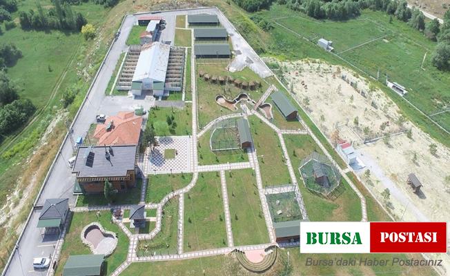 Belediyeden yeni uygulama