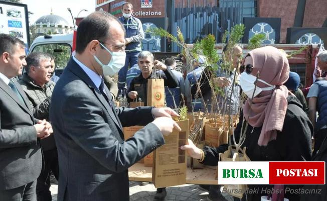 Biga’da ücretsiz fidan dağıtıldı